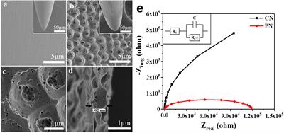 Augmented Mechanical Forces of the Surface-Modified Nanoporous Acupuncture Needles Elicit Enhanced Analgesic Effects